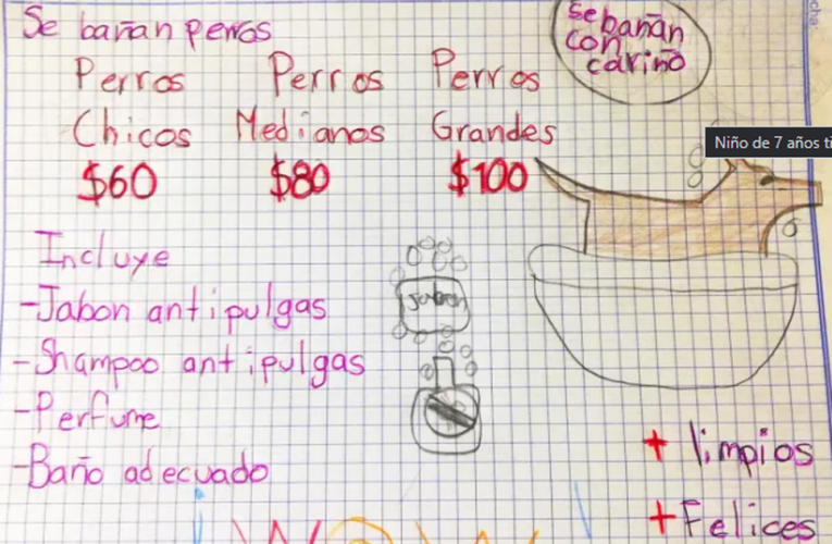Niño de 7 años tiene su propio negocio de bañar perros en NL, lo promociona con dibujos