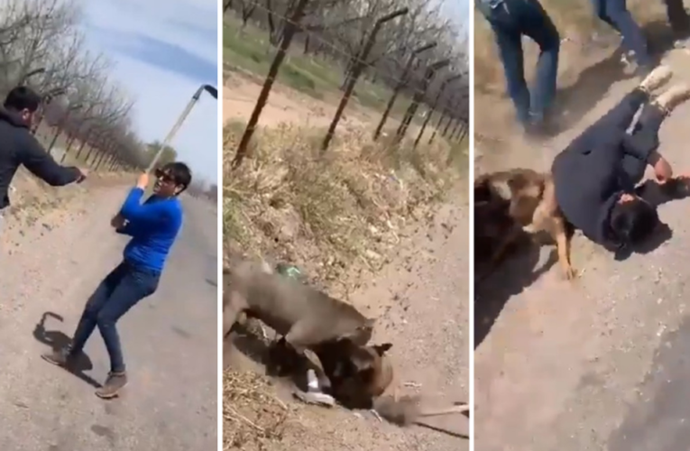#LadyAzadón: Mujer golpea salvajemente a hombre y a perrito (VIDEO)