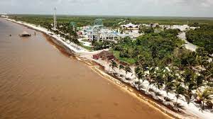 Alerta roja por sargazo en Quintana Roo; llegan hasta 50 toneladas al día