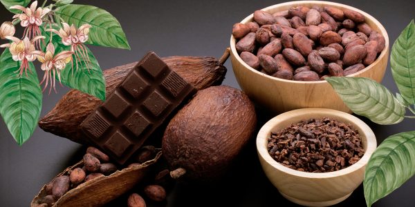 Presentan Festival del Chocolate a países acreditados en México