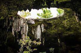 El nuevo trazo del Tren Maya amenaza los cenotes de Quintana Roo: peligran ríos subterráneos, especies y el Mar Caribe