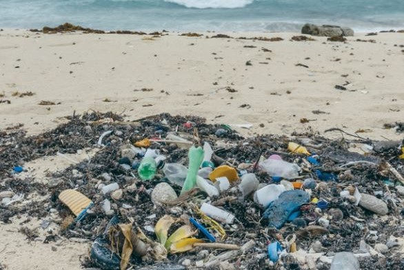 Residuos plásticos y vidrios, lo que más afectó a las playas de Q. Roo
