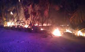 Reportan incendio en la reserva Sian Ka’an de Quintana Roo