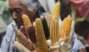 EU pide a México no frenar exportaciones de maíz para consumo humano