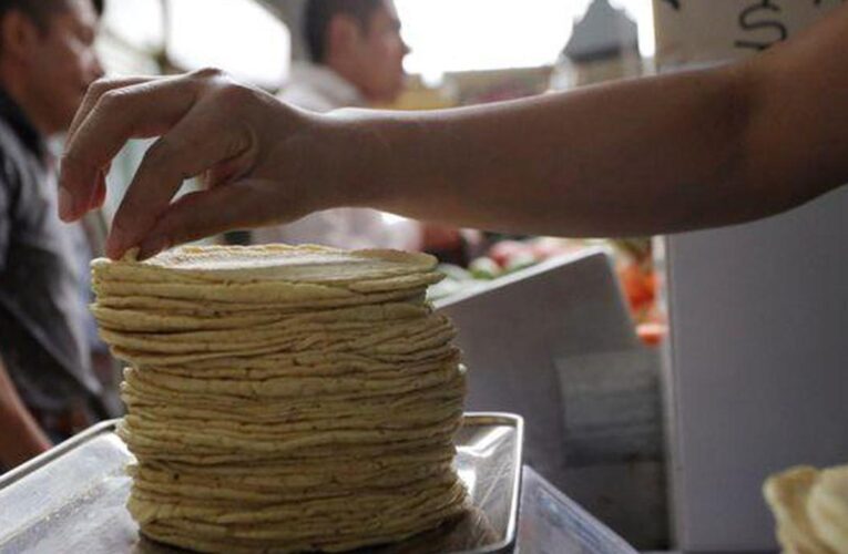 Así ha aumentado el precio de la tortilla en todo México en los últimos 10 años
