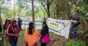 Marchan en el sur de México para pedir la protección a los ecosistemas de agua