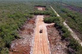 Tribunal recorrerá zona afectada por el Tren Maya en Playa del Carmen