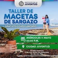 Promueven taller para el aprovechamiento del sargazo en Playa del Carmen