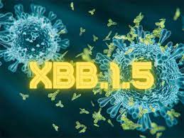 La variante XBB1.5 del coronavirus ya está presente en México
