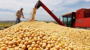 El precio internacional de la soja superó los USD 650 la tonelada, su mayor valor en una década
