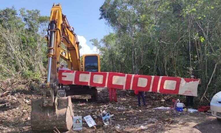 Ambientalistas detienen obras en el Tramo 5 del Tren Maya