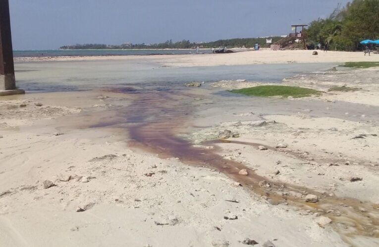 Invaden playa de Punta Esmeralda: Más de 4 mil metros fueron cercados
