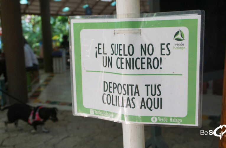 Reducen contaminación de colillas de cigarro en Playa del Carmen
