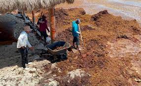 Playa del Carmen: Detenidos por faltas menores pagan con trabajo comunitario