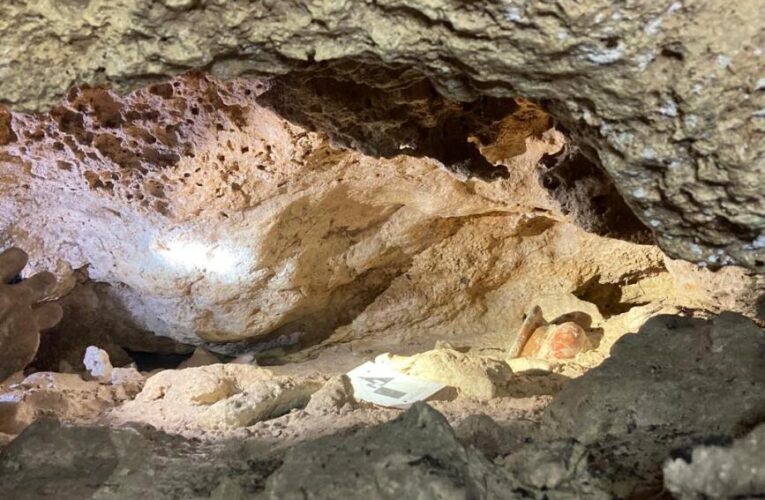 Encuentran vasija antigua maya en cueva en Playa del Carmen