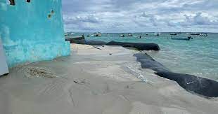 A verificación obras realizadas en zona federal en Playa del Carmen