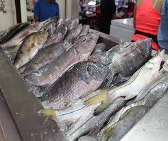 Escasez de pescado por cuaresma en Playa de Carmen
