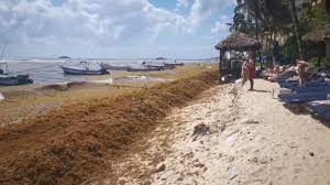 Mantienen limpias zonas turística en Playa del Carmen