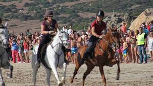 Zahara de los Atunes: Carreras de caballos en la playa y conciertos del Jazzahara este fin de semana
