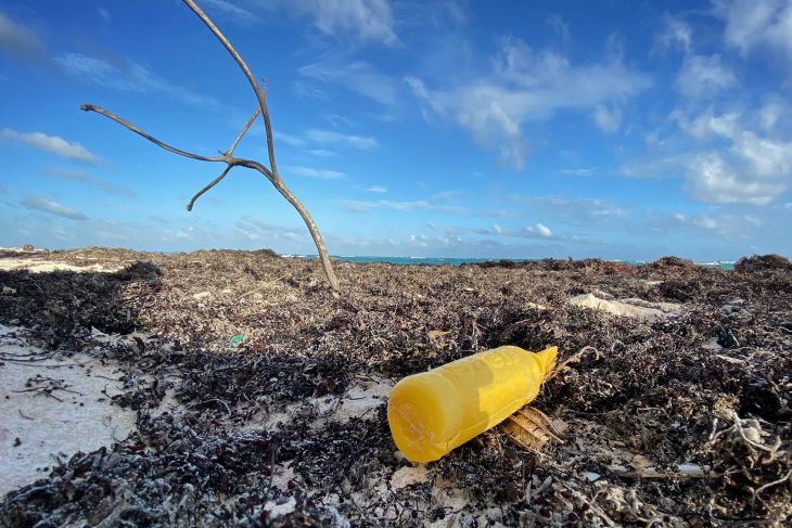 Proviene de 45 países 99% de la basura que recala en playas de Sian Ka’an