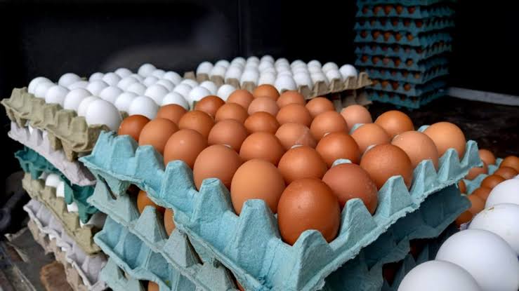 Detecta EUA aumento en volumen de huevos mexicanos decomisados en la frontera