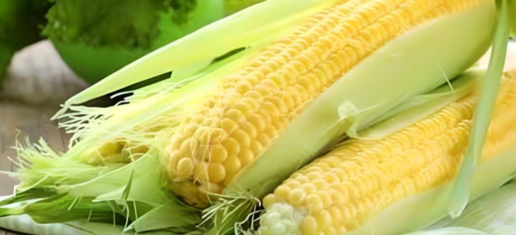 Canadá se une a EU en la lucha contra México por maíz transgénico