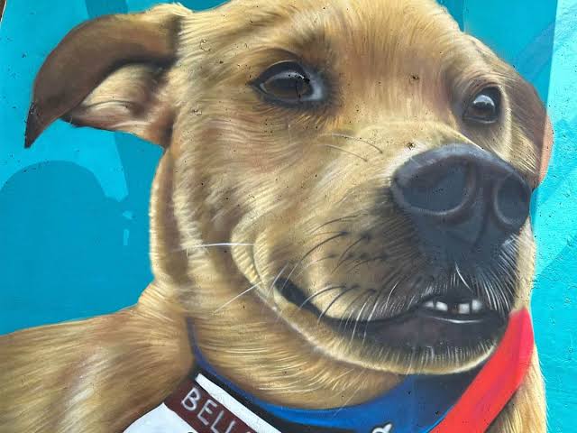 ¡Increíble! El Chicles, el famoso perrito tijuanense se convierte en una leyenda en un impresionante mural