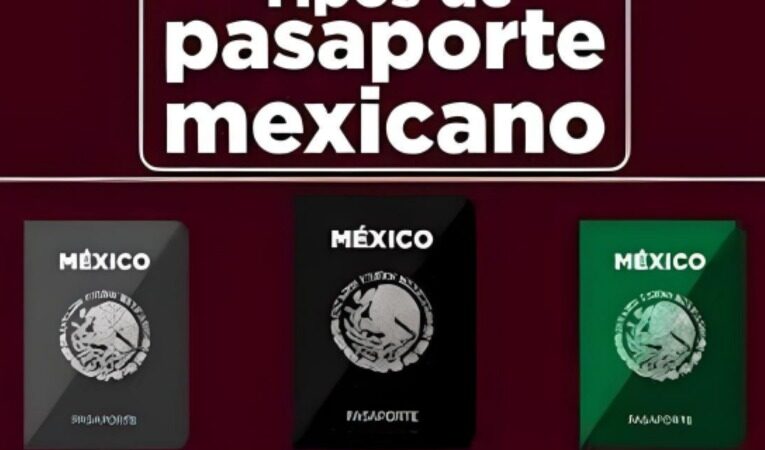 ¿Qué significa cada color del pasaporte en México?
