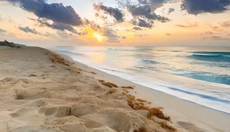 Playa del Carmen recibirá a los 100 imperdibles de México