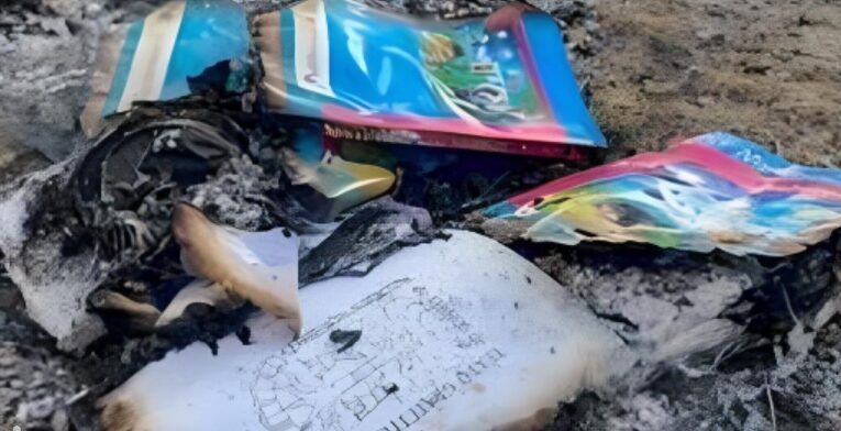 Sectores opositores en México queman nuevos libros educativos