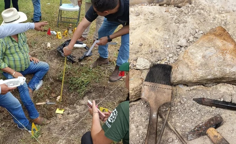 Quintana Roo: imparten curso-taller de ciencias forenses para combatir maltrato animal