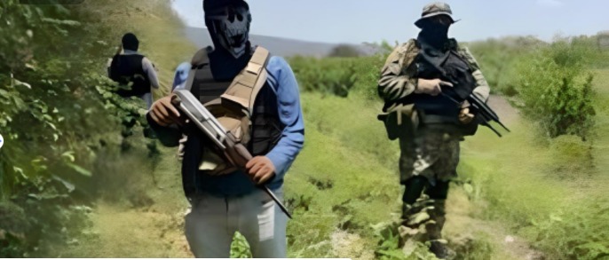 El narcotráfico floreció en México con ayuda del Estado
