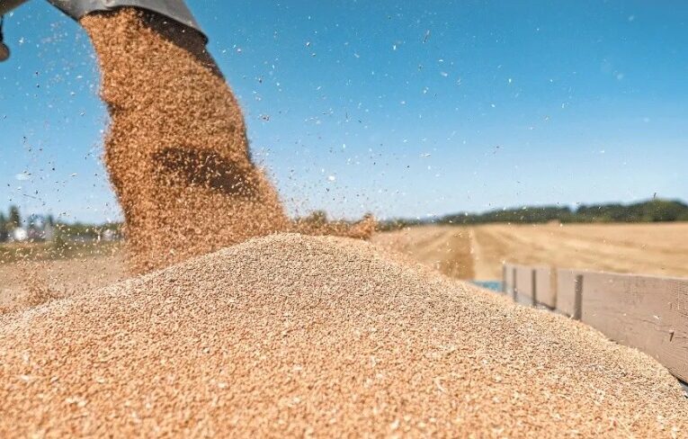 México está en el top 5 de los países con mayor importación de cereales