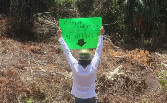 Caso Calica Playa del Carmen: ambientalistas responden a críticas de AMLO