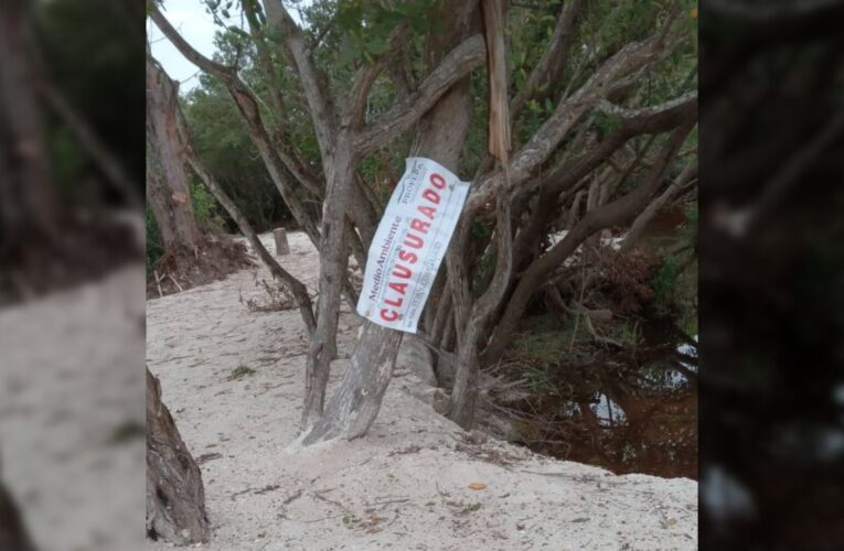 Clausuran zona en Sisal, Yucatán, por destrucción de manglares