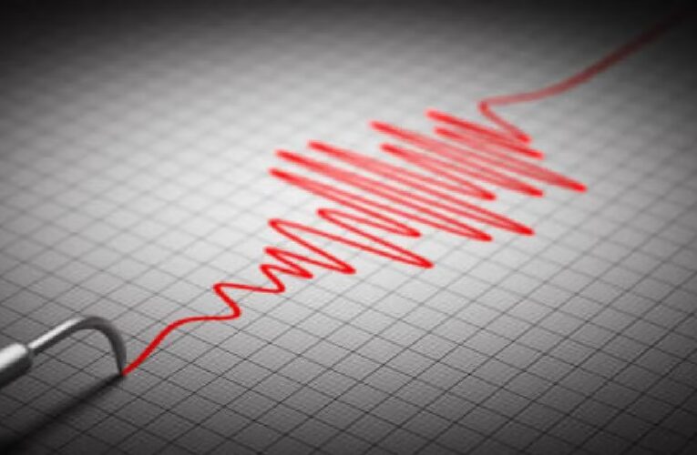 Sismo de 5.3 activa alerta sísmica en México; en CDMX fue imperceptible