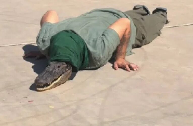 Fenómeno therian irrumpe en Sonora y sacude redes sociales