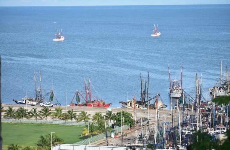 Pescadores de Campeche piden reforzar vigilancia ante inicio de la veda de camarón