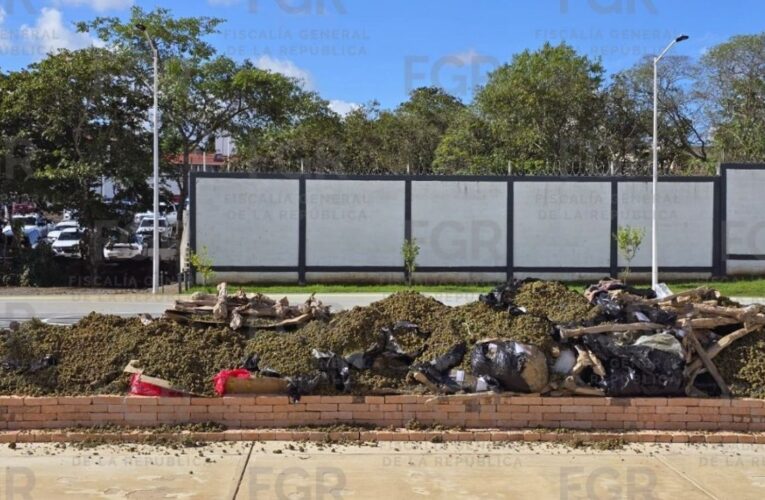Incineran más de 940 kilos de narcóticos en Nayarit