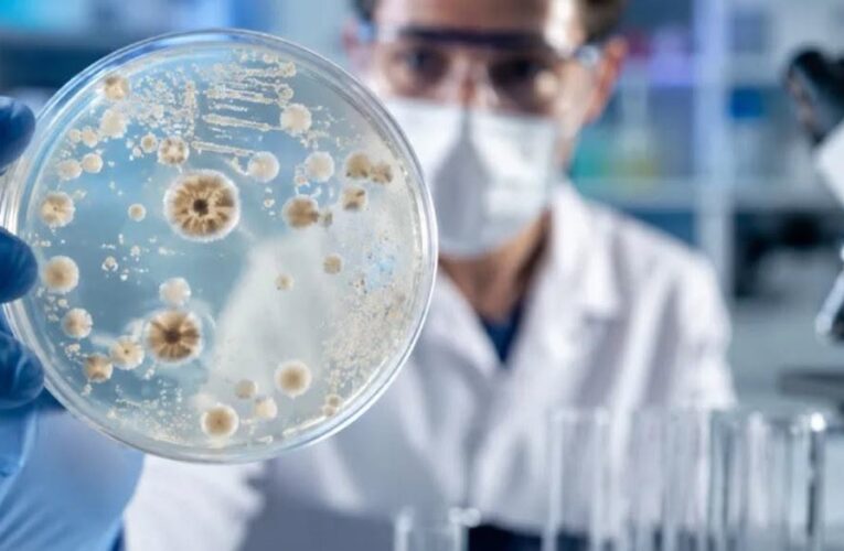 Cómo se contagia y cuáles son los síntomas tras el brote en Nueva York