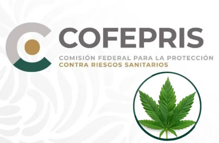 Cofepris aclara que la marihuana no es legal en México pese a fallo de la Suprema Corte