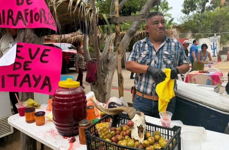 Pitahayeros: el oficio que mantiene viva una tradición en Baja California Sur