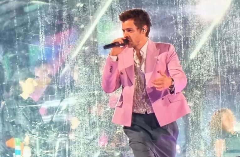 Harry Styles vive eufórica fiesta junto a sus fans